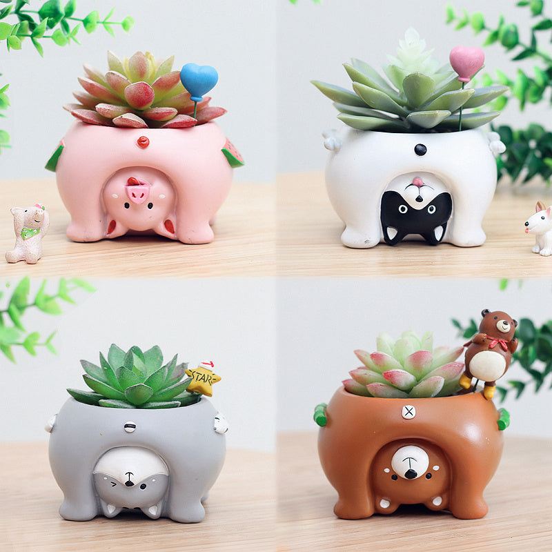 Come and see the world's succulent plant pots